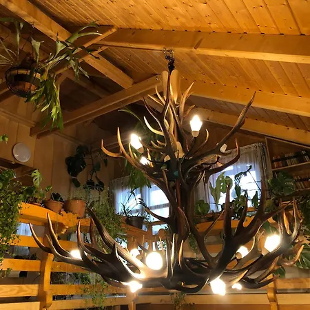 Tiszafa Vendeghaz Szentgal