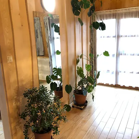 Tiszafa Vendeghaz Guest house