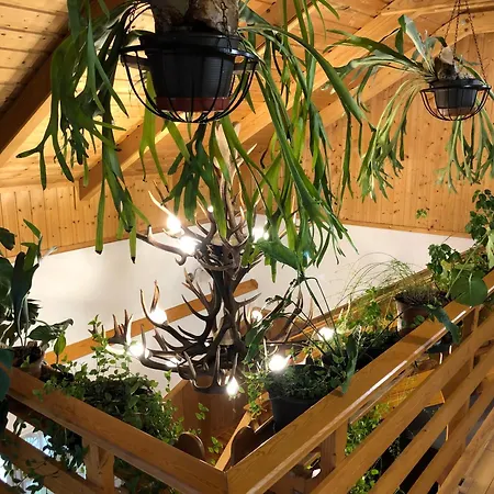 Гостевой дом Tiszafa Vendeghaz 3*