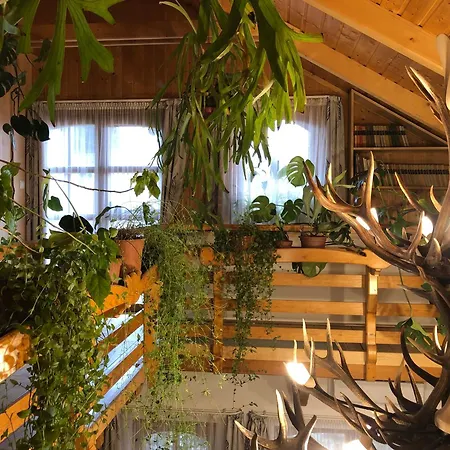 Tiszafa Vendeghaz Guest house
