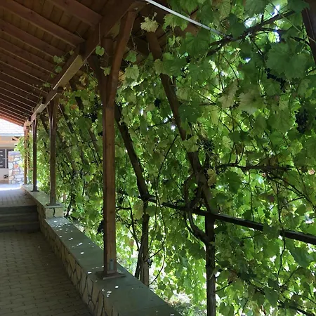 Tiszafa Vendeghaz Szentgal